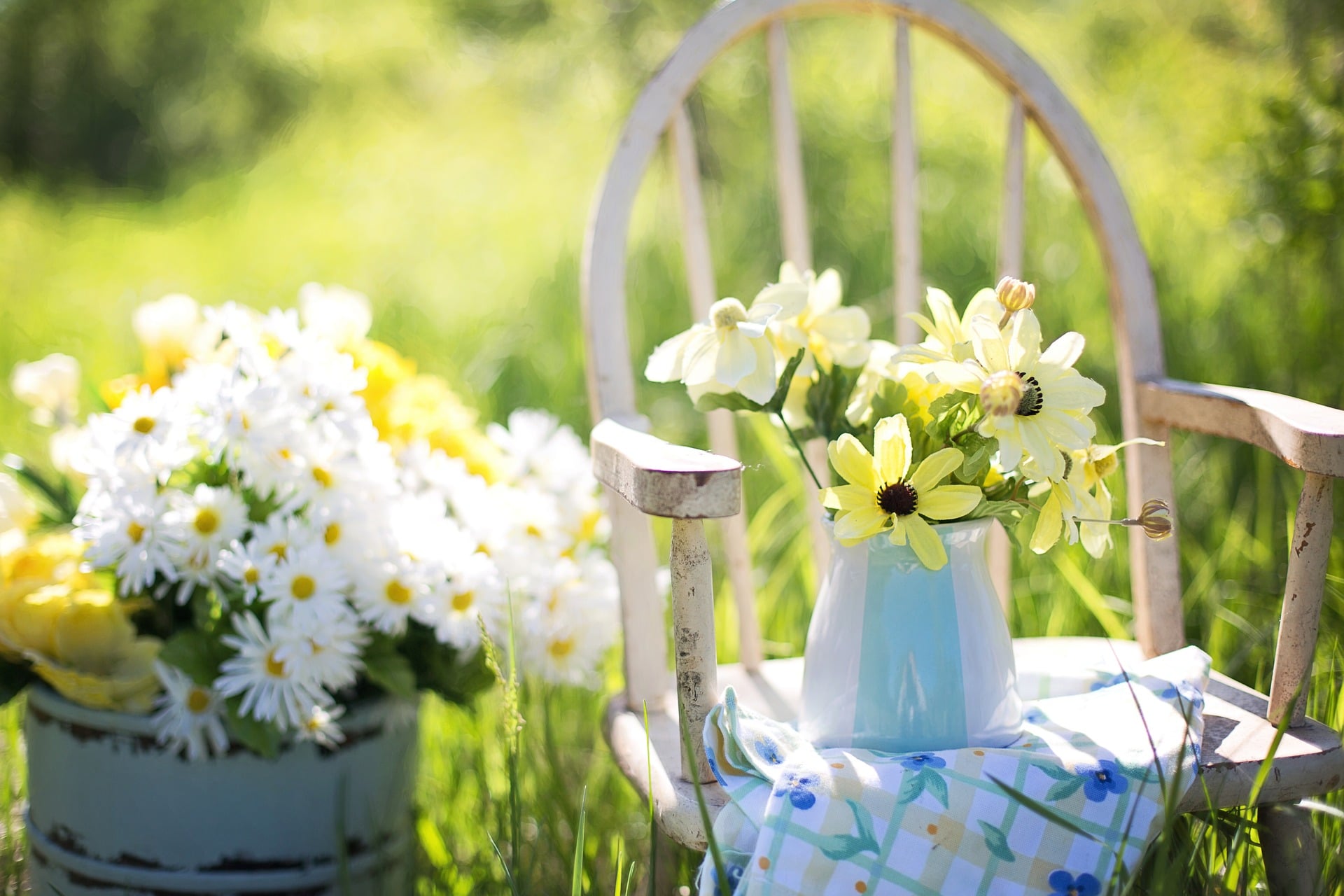 Gartentipps für Juli