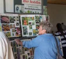 Exkursion Kleingartenverein Mai 2018 23