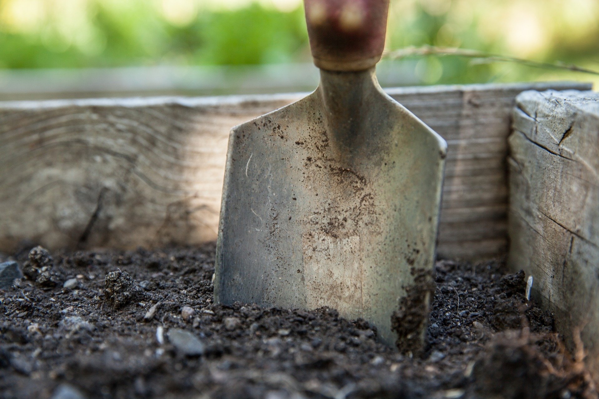 garden-gfe9397936_1920