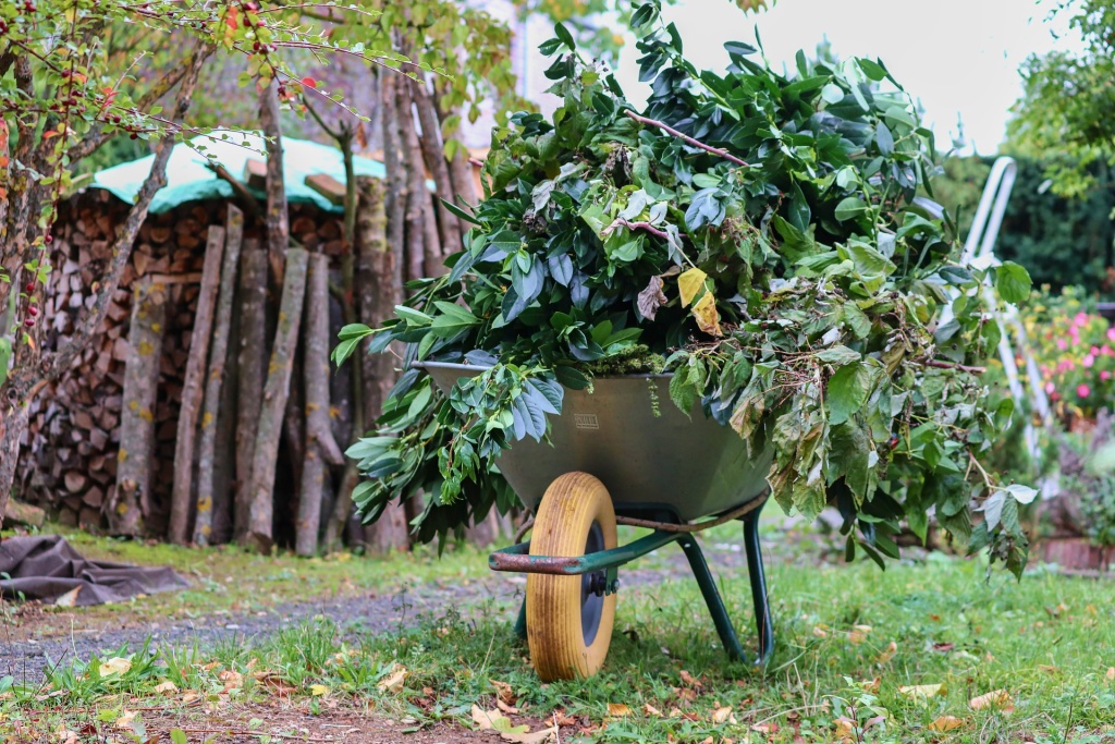 wheelbarrows-4518854_1920