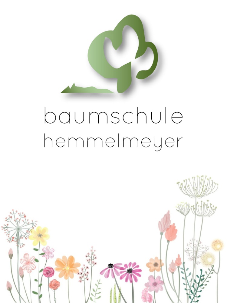 Produktbild wird erwartet