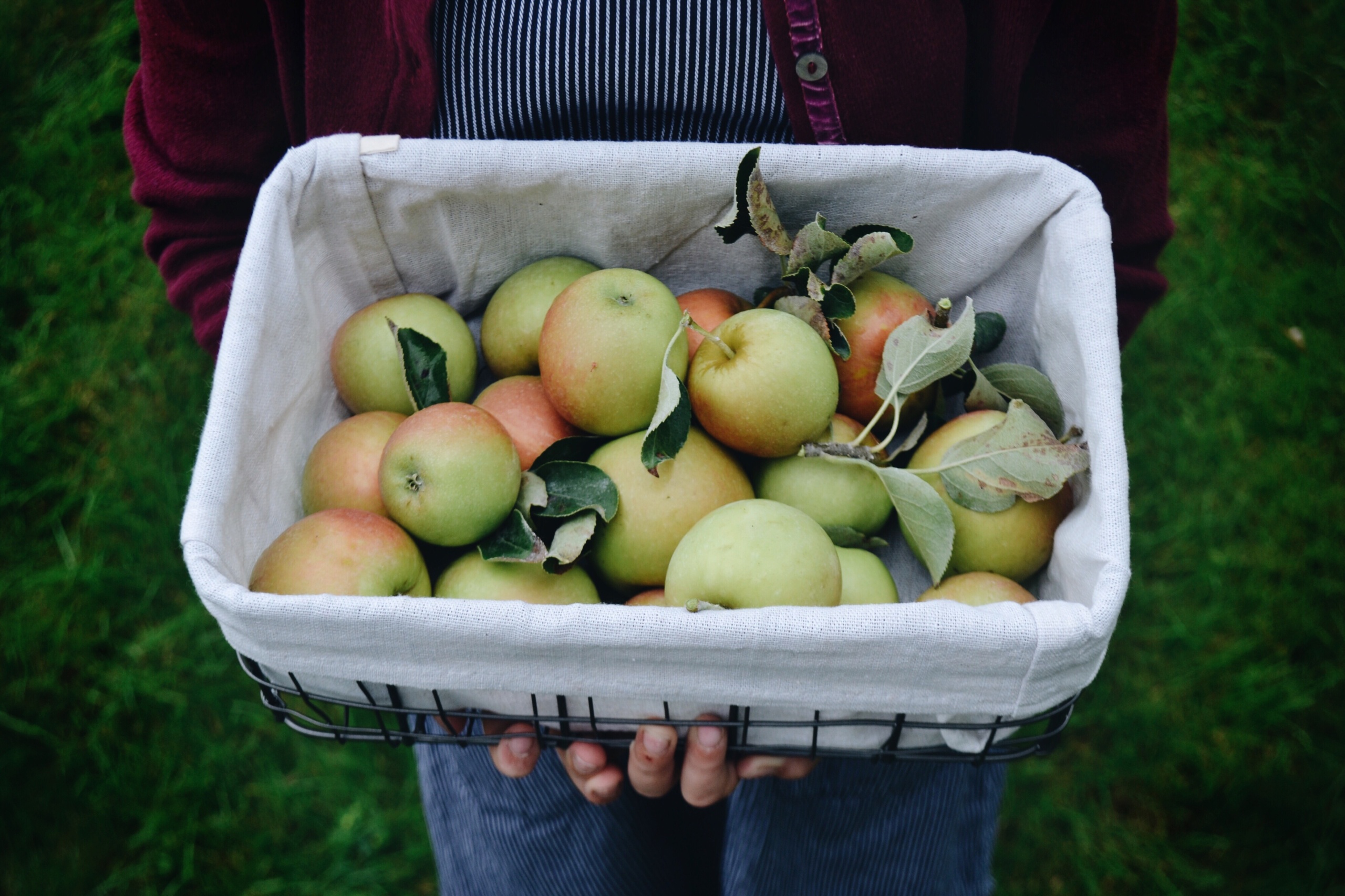 Obst für den Winter richtig aufbewahren